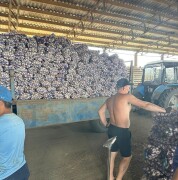 labus_farm_photo (11)