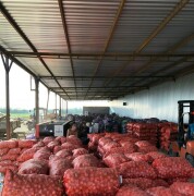 labus_farm_photo (14)