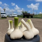 labus_farm_photo (6)